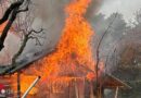 Nö: Feuerwehren löschten Brand einer Hütte in Amstetten → Hund umgekommen
