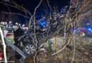 Nö: Audi durchbricht auf A21 Leitplanke und wird in Baumgruppe katapultiert
