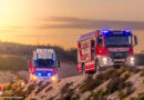 D: Fallschirmspringer-Soldat in Celle aus Baum gerettet