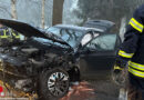 D: VW Tiguan bei Fredenbeck gegen Baum geprallt