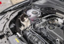 D: Von Hamm bis Olsberg → Katze fährt 75 Kilometer im Motorraum über die A44 mit