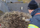 Nö: Feuerwehr in Ardagger bereitet Zuhause von Storchenpaar vor