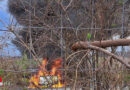 Bgld: Kleintransporter auf A 3 bei Neufeld in Vollbrand