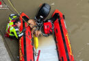 D: Feuerwehrtauchergruppe rettet Vierbeiner in Bremerhaven aus der Geeste