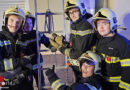 Nö: Feuerwehr Wiener Neustadt befreit Marder aus Dachverbau