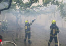 Stmk: Wirtschaftsgebäudebrand in Riegersdorf in Großwilfersdorf