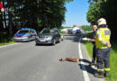 Nö: Verkehrsunfall durch Wildwechsel auf B 122 in Weistrach