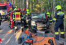 Nö: Pkw prallt bei Hohe Wand gegen Baum → Lenker eingeklemmt
