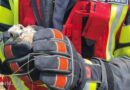 Ktn: Junger Turmfalke und Igel in Althofen von Feuerwehr gerettet