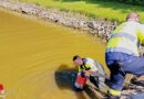 Bgld: Fischteich in Markt Allhau drohte auszutrocknen → Feuerwehr und Fischer retten Fische
