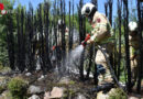 Tirol: Brand im Freien durch Flämmarbeiten → Heckenbrand rasch unter Kontrolle