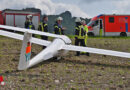 D: Segelflugzeug landet auf Maisfeld in Olsberg
