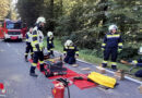 Stmk: Pkw mit Mann und Kind in Vasoldsberg gegen Baum geprallt → Lenker eingeklemmt
