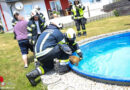 Oö: Rehbock in Pool in Holzhausen