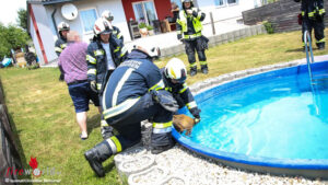 O: Rehbock in Pool in Holzhausen
