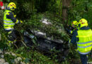 Nö: Pkw „versteckt“ sich nach Unfall im dichten Unterholz