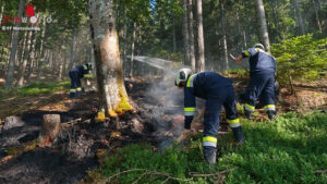 Stmk: Auf der Suche nach dem Feuer im Wald in Mrzzuschlag