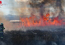 Stmk: 4 Hektar Getreide in Lobmingtal in Flammen → 100 Fw-Leute im Einsatz