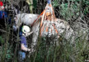 D: Pferd aus Bachlauf gerettet – aufwändiger Tierrettungseinsatz in Oetternbach