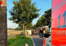 D: Kleintransporter kollidiert mit Baum