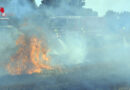 D: Feuerwehren der Samtgemeinde Elbtalaue trainieren Bekämpfung von Vegetationsbränden