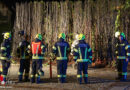 Oö: Einsatz zweier Feuerwehren bei Heckenbrand im Ortszentrum von Steinhaus