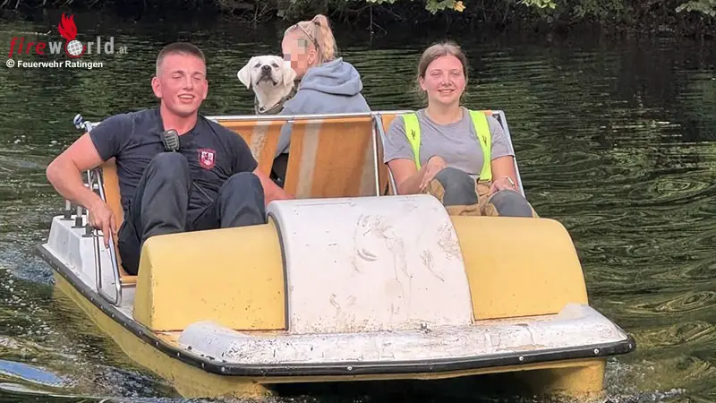 D-Labrador-st-rzt-in-alten-Steinbruch-Tretboot-Einsatz-bei-Tierrettung