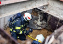 Oö: Schweißtreibender Einsatz bei Anlagenbrand in einem Betrieb in Mauerkirchen