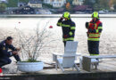 Oö Löscharbeiten mit Seeblick → Brand im Ortszentrum von Traunkirchen