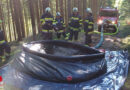 Stmk: Abschnittsübung Waldbrand in Kindberg