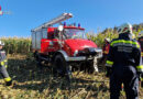Nö: Mähdrescher in Wieselburg in Schräglage → mehrere Seilwinden für Bergung eingesetzt