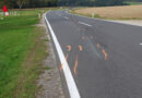 Oö: 15-Jährige bei Moped-Pkw-Unfall auf B 129 in Waizenkirchen tödlich verletzt