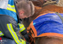 D: Pferd in Bochum mit Einsatz eines Dreibeins wieder aufgerichtet