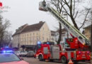 Oö: Drohne in Wels mit Drehleiter von Baum geholt