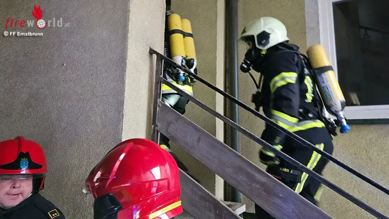 N-Anwohner-mit-belkeit-und-Kopfschmerzen-tote-und-verletzte-Katzen-bei-vermutetem-CO-Austritt-in-Ernstbrunn