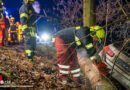 Oö: Vorderräder-Verlust bei Pkw-Böschungssturz in Waldstück in Lichtenberg