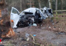 D: Mit Kleinlieferwagen gegen Baum geprallt  → ein Todesopfer bei Sottrum