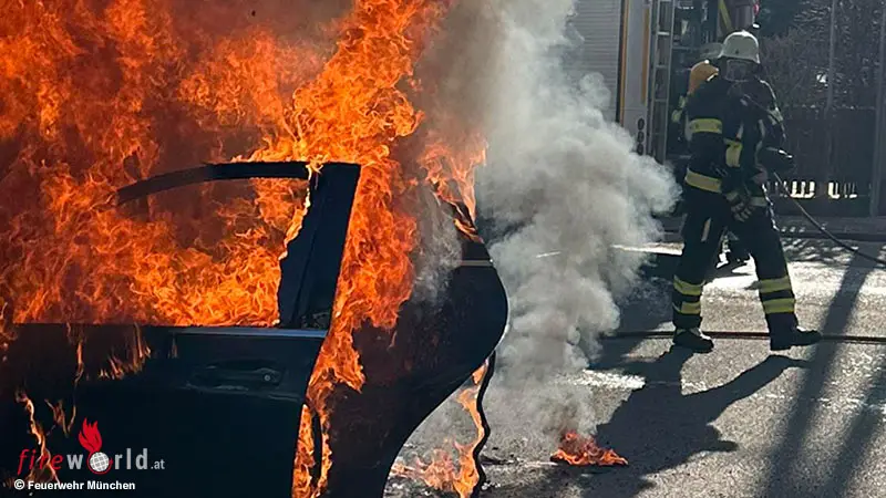 Bayern-Besitzerin-rettet-Katze-Feuerwehr-l-scht-Auto