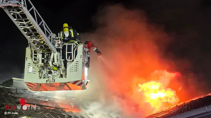 D-Vier-gerettete-Kaninchen-bei-Dachstuhlfeuer-in-Neujahrsnacht-in-Celle