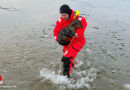 Bayern: Dackelrettung am Waginger See