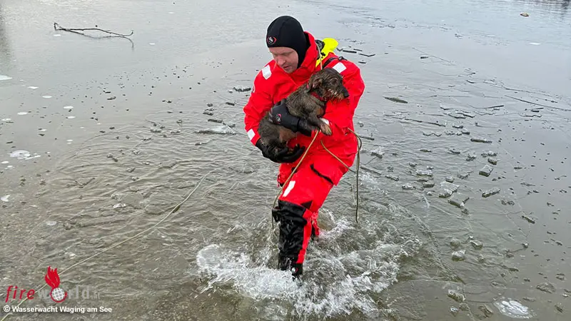 Bayern-Dackelrettung-am-Waginger-See