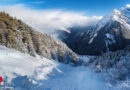 Stmk / Sbg: 3 Tote bei Lawinenabgang in Pusterwald & 5 Lawinentote in Salzburg