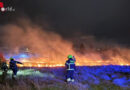 Nö: Feldbrand am Abend des Silvestertages in Schwechat