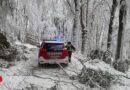 Stmk: 45 Schadenslagen nach Schneefall in Pöllau am 20. Februar 2026