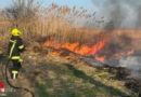 Bgld: Schilfbrand in Mörbisch am See