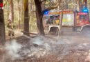 D: Feuer im Wald bei Ahlten in Lehrte