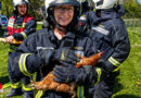 Nö: Brandalarm in Behamberg → Mann anfangs vermisst, Huhn gerettet