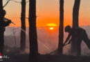 Deutsche Feuerwehreinheiten unterstützen Waldbrandbekämpfung in den Niederlanden: 2. Mai 2026