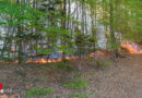 Stmk: Waldbrand im Einsatzgebiet der Feuerwehr Hohenbrugg → über 100 Kräfte im Einsatz