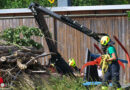 Oö: Holzrückeanhänger umgestürzt: Einsatzkräfte befreiten nach Unfall in Kremsmünster eingeklemmten Mann